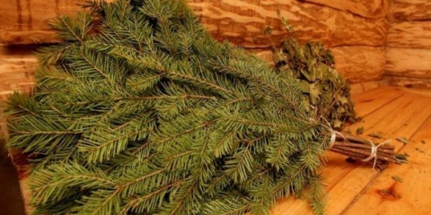 Jelova metla za kupanje: koristi i štete